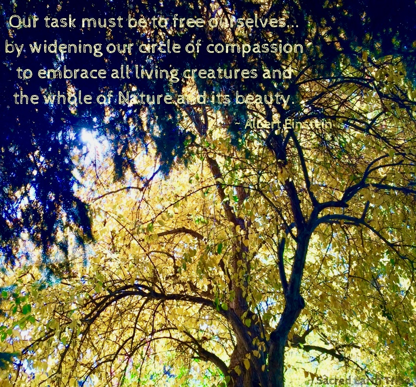 Embrace the Whole of Nature
